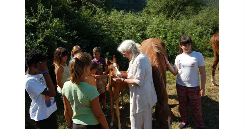 Art Viu amb Cavalls